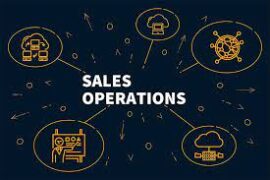 Skills needed for a sales operation